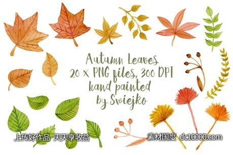 秋天落叶剪贴画 Autumn Leaves clipart - 源文件