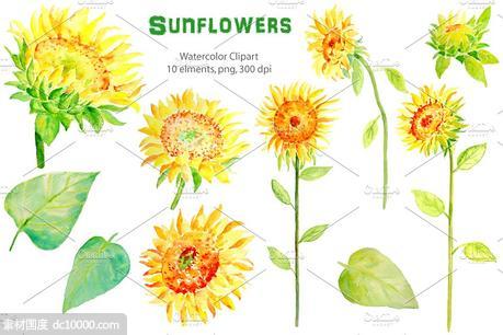 水彩向日葵剪贴画 Watercolor Clipart ndash Sunflowers - 源文件