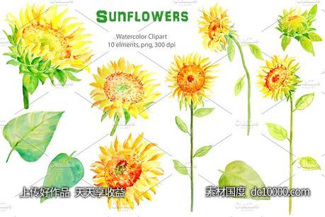 水彩向日葵剪贴画 Watercolor Clipart ndash Sunflowers-源文件-素材国度dc10000.com