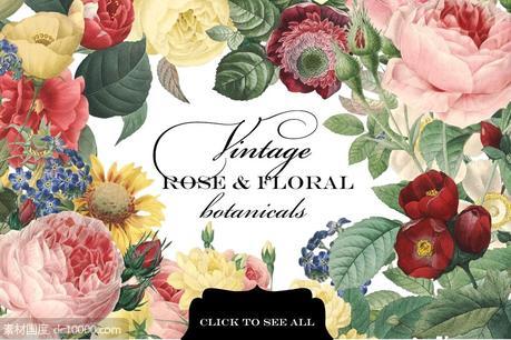复古玫瑰花卉植物剪贴画 Vintage Rose  Floral Botanicals - 源文件