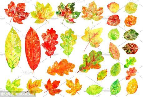 水彩多彩树叶剪贴画 Watercolor Colorful Leaves Clipart - 源文件