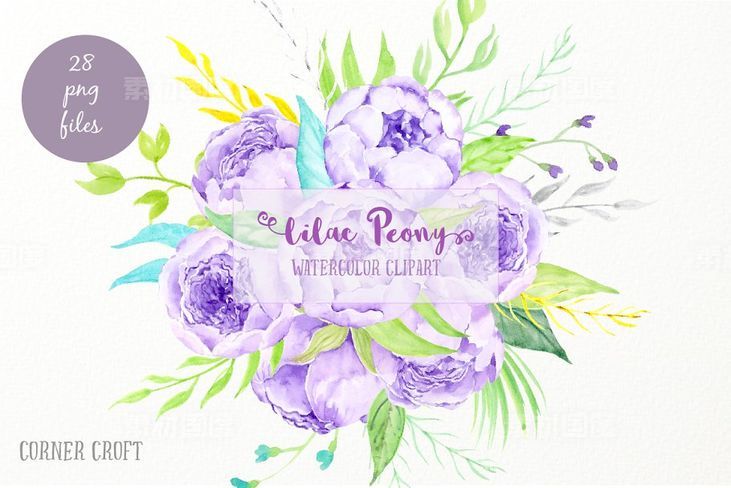 水彩紫丁香花束素材 Watercolor Lilac Peony Bouquet