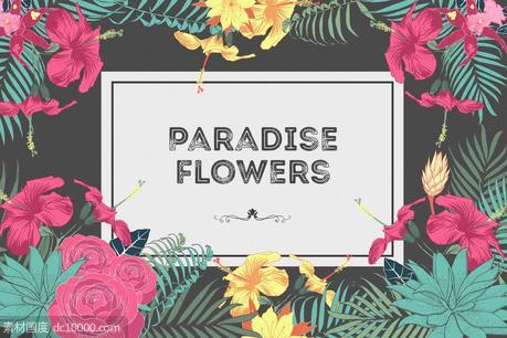 热带花卉和花束手绘插画素材 Paradise Flowers - 源文件