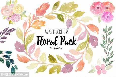 30款花卉叶子水彩插画合集 Floral Watercolor Collection - 源文件