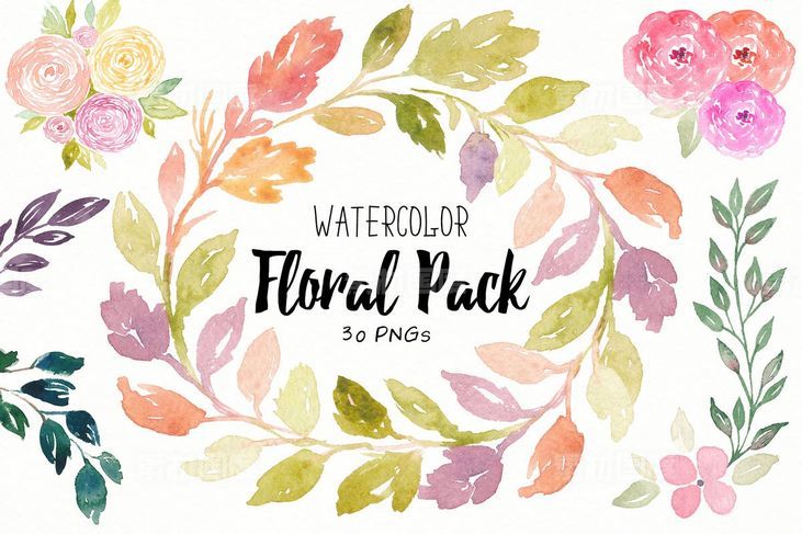 30款花卉叶子水彩插画合集 Floral Watercolor Collection