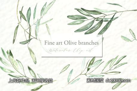 橄榄枝美术水彩剪贴画 Olive branches Fine art Watercolor - 源文件