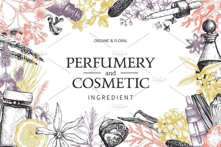 香水及化妆品配料元素集 Perfume  Cosmetic Ingredients Set