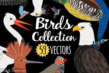 海量各种鸟手绘矢量素材 Big set of Different Birds - 源文件