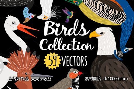 海量各种鸟手绘矢量素材 Big set of Different Birds - 源文件