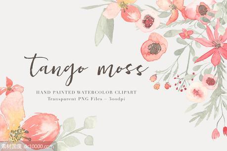 21款独特手绘花卉和树叶图形 Watercolor Floral Clipart ndash Tango - 源文件