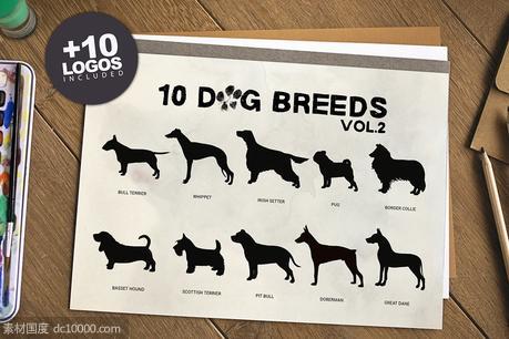 10款动物犬种矢量插画素材 10 Dog Breeds vol2  Bonus - 源文件