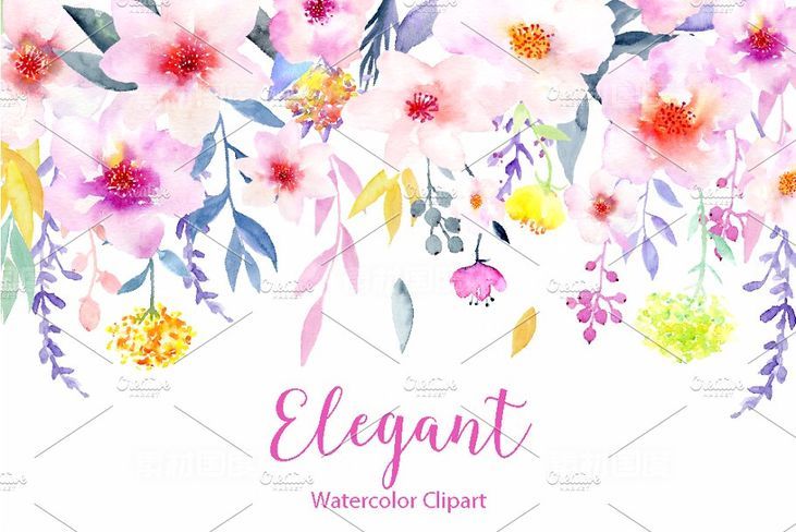 水彩花卉精品图案素材 Watercolor Flower Clipart Elegant