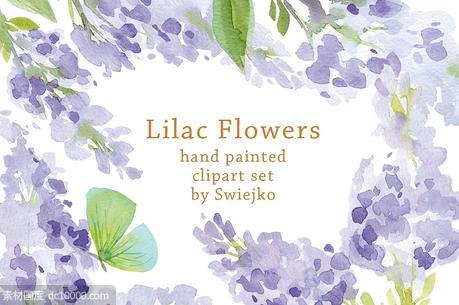 丁香花与蝴蝶水彩剪贴画 Watercolor Lilac Flowers Butterfly - 源文件