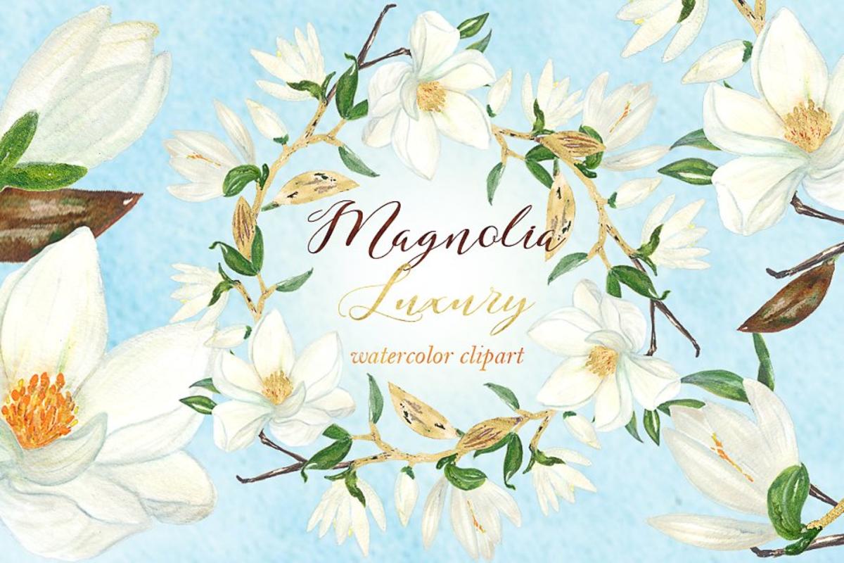 白玉兰花卉奢华剪贴画 Magnolia white luxury clipart