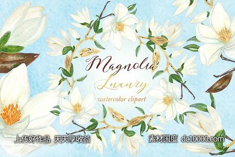 白玉兰花卉奢华剪贴画 Magnolia white luxury clipart - 源文件