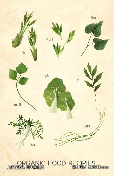 美食食材厨房私房菜PSD素材 - 源文件