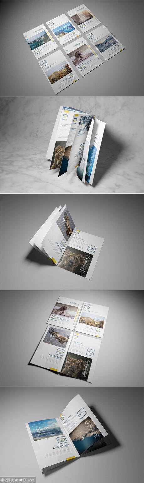 时尚A4A5宣传册房地产楼书品牌手册画册杂志设计VI样机展示模型 - 源文件