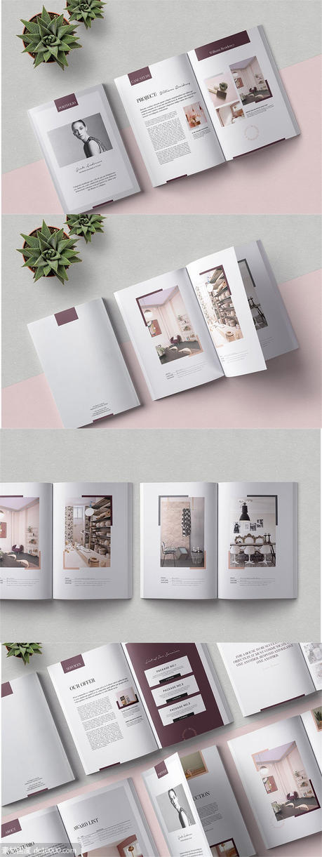 完全可编辑的品牌手册画册房地产楼书杂志设计模板（indd） - 源文件