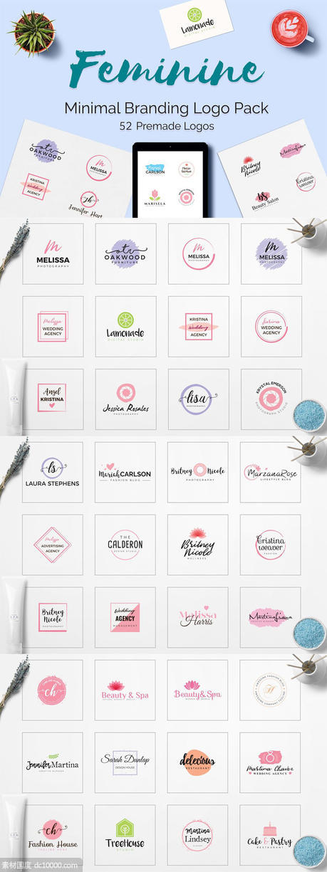 女性简约品牌Logo标志设计素材包 Feminine Minimal Branding Logo Pack - 源文件