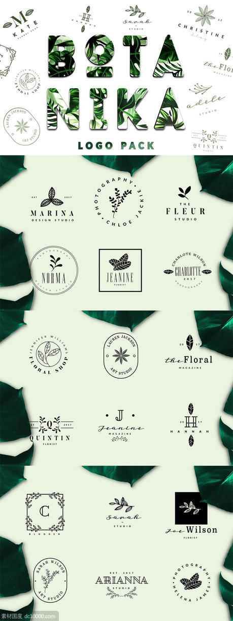 简约优雅品牌公司Logo设计模板 BOTANIKA Logo Pack - 源文件