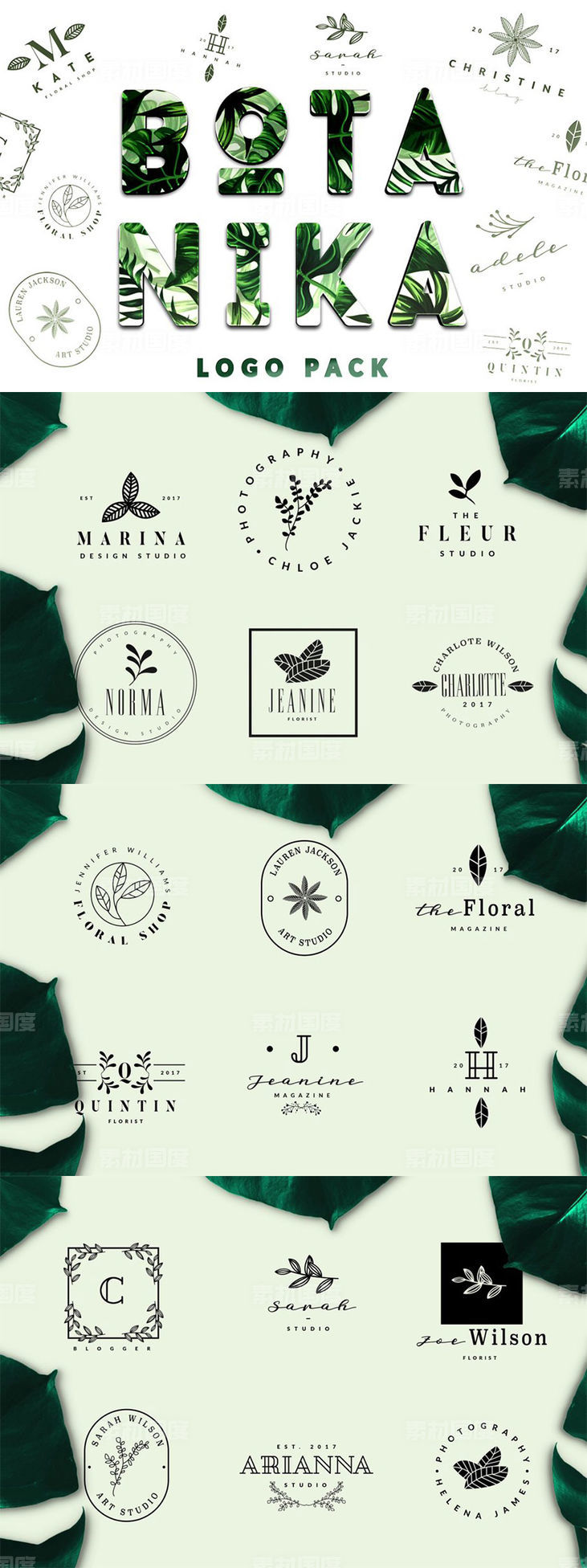 简约优雅品牌公司Logo设计模板 BOTANIKA Logo Pack