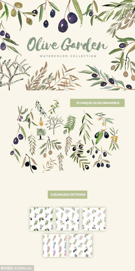橄榄树叶水彩系列插图合集 Olive Garden Watercolor Collection - 源文件