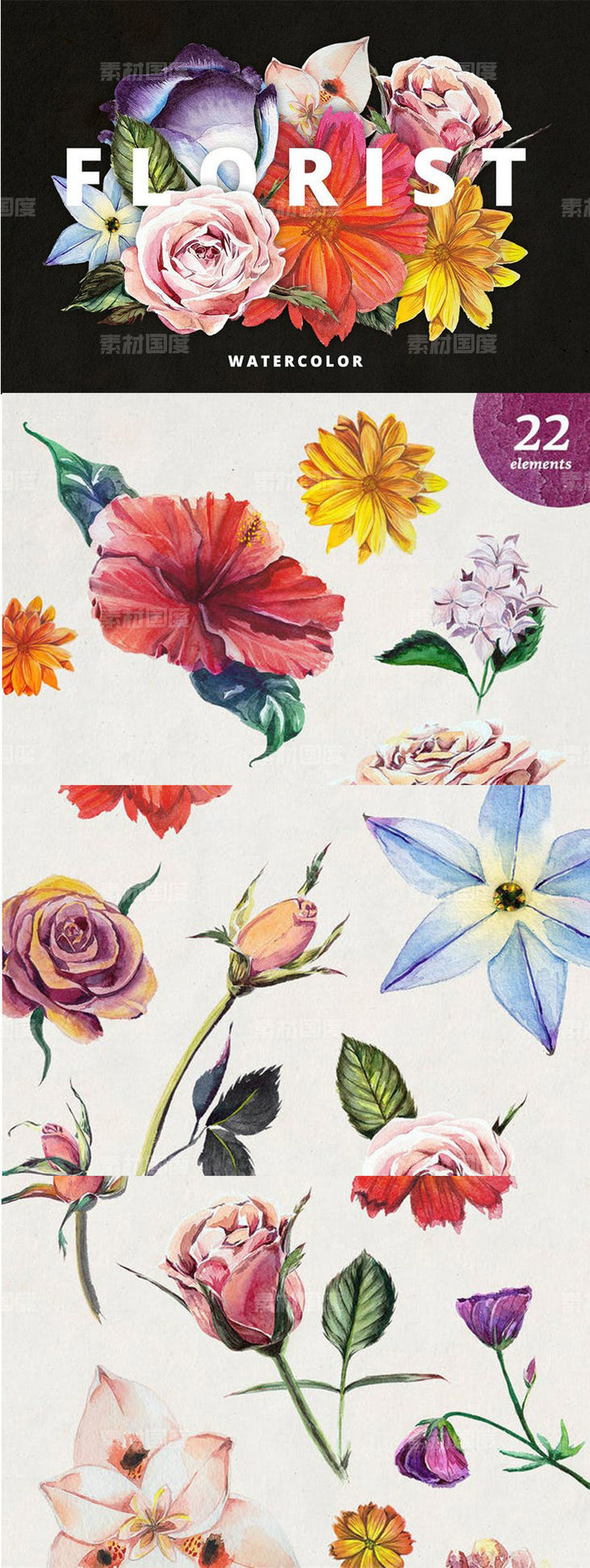 高品质水彩花卉插画合集 Florist Watercolor Flowers Set