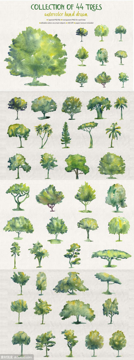 44款水彩手绘树木艺术插图 Collection of 44 Watercolor Trees - 源文件