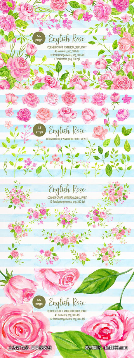 英国玫瑰水彩剪贴画素材 Watercolor Clipart English Rose-源文件-素材国度dc10000.com