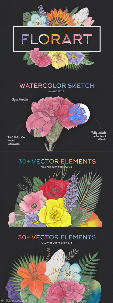 水彩艺术花卉矢量插画合集 FlorArt Watercolor Kit - 源文件