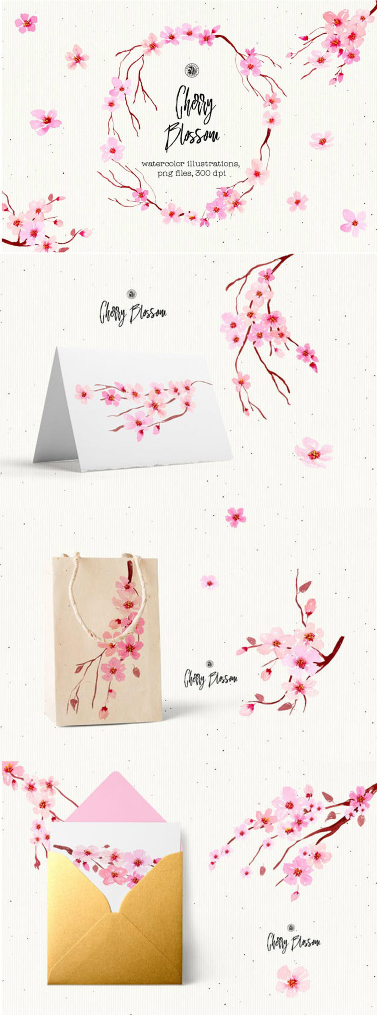 樱花水彩手绘插画设计素材 Cherry Blossom Flowers