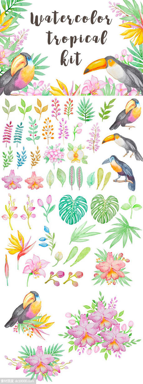 热带主题手绘水彩图案合集 Watercolor Tropical Kit - 源文件