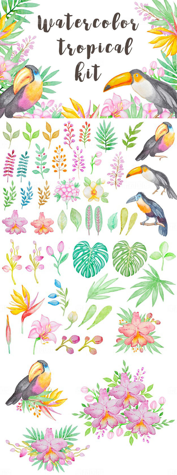 热带主题手绘水彩图案合集 Watercolor Tropical Kit