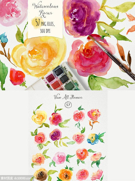 浪漫玫瑰水彩插图素材 Watercolor Roses - 源文件