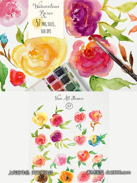 浪漫玫瑰水彩插图素材 Watercolor Roses - 源文件