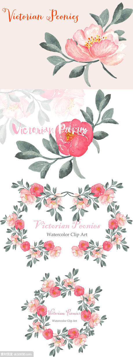 维多利亚时代水彩艺术牡丹剪贴画素材 Peony Victorian Watercolor Clipart - 源文件