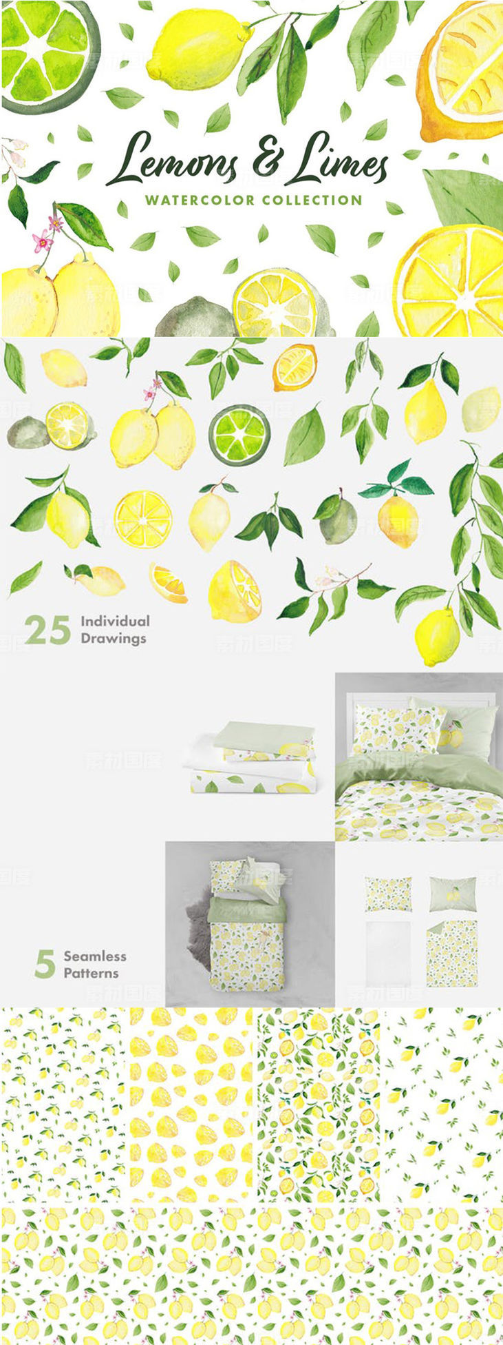 柠檬酸橙手绘水彩插画系列 Lemons  Limes Watercolor Collection