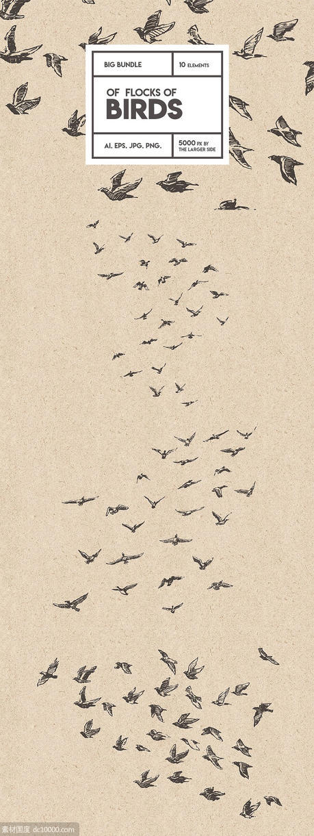 鸟群素描设计素材 Flocks of birds sketch style - 源文件