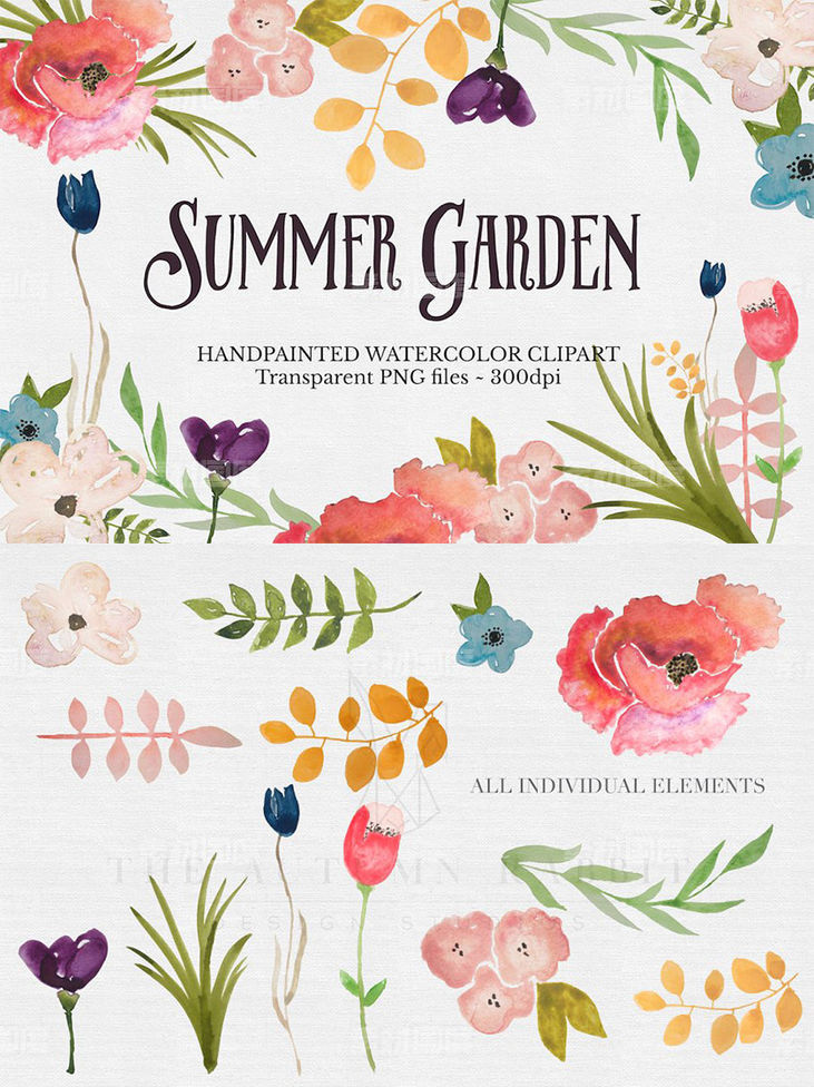 水彩手绘花园设计花卉插画 Watercolor Flower Clipart Set