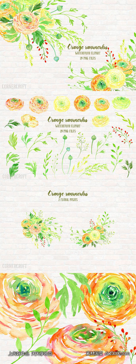 橙色水彩毛茛花卉剪贴画素材集 Watercolor Clipart Orange Ranunculus - 源文件