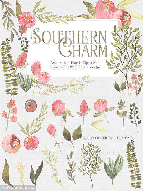 水彩手绘粉色调搭配花卉剪贴画 Southern Charm Floral Clipart Set - 源文件
