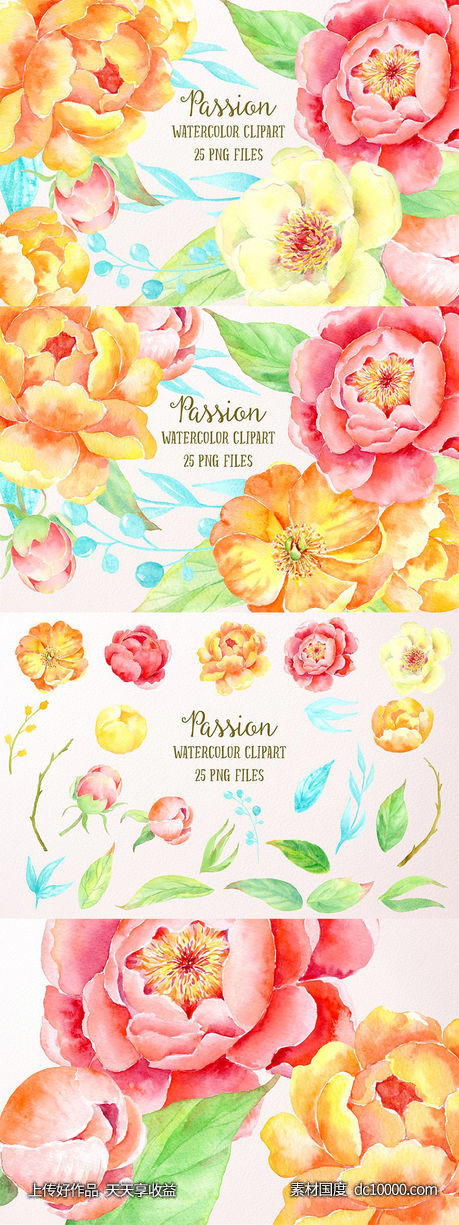 激情水彩牡丹插画艺术合集 Watercolor Clipart Peony Passion-源文件-素材国度dc10000.com