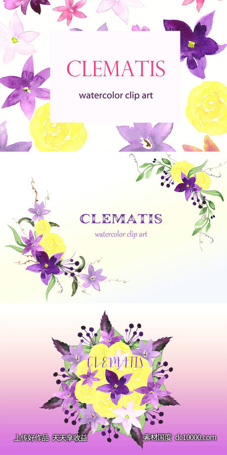 夏季手绘紫色水彩铁线莲剪贴画 Clematis Purple. Watercolor clipart-源文件-素材国度dc10000.com