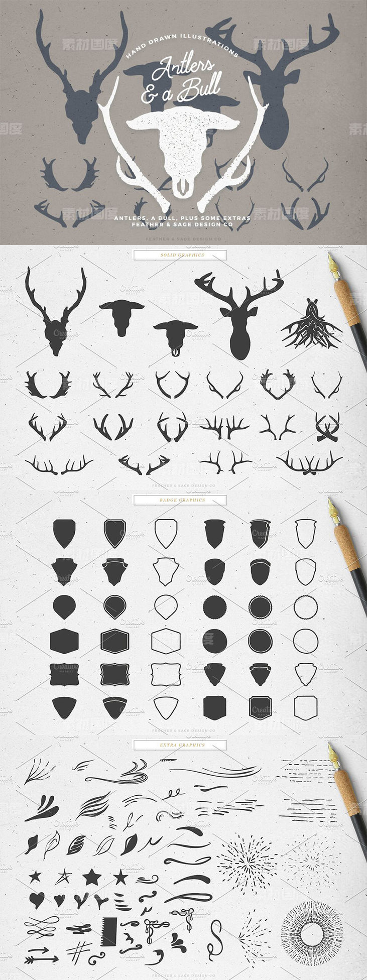 鹿角公牛手绘矢量插图 Antlers a Bull Vector Graphics