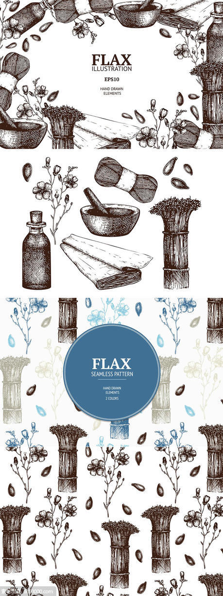 复古亚麻植物插画素材 Vintage Flax Illustrations - 源文件