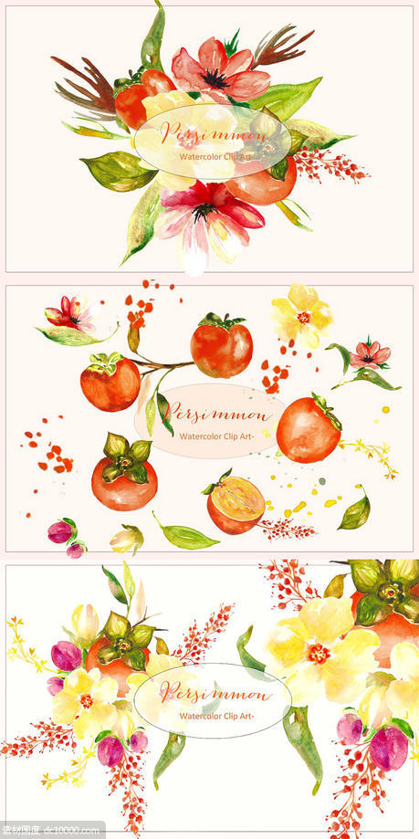 水彩柿子水果花卉橘色艺术剪贴画 Persimmon Orange watercolor Clipart - 源文件