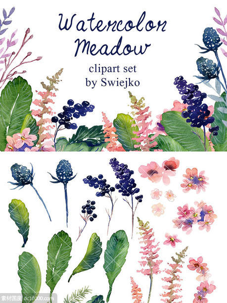 浪漫手绘乡村花卉浆果元素剪贴画 Watercolor floral set - 源文件