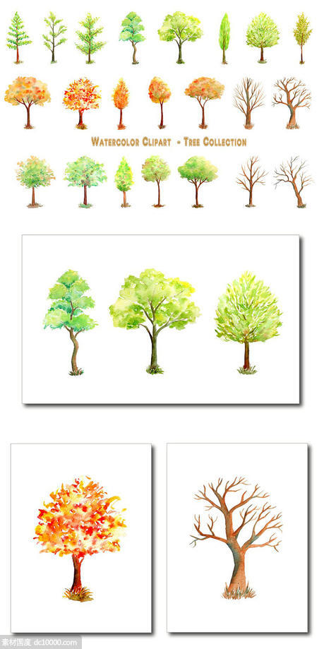 手绘水彩冬季树木系列插画素材 Watercolor Tree Illustration - 源文件