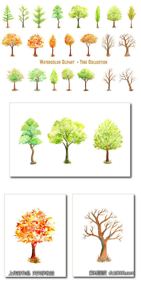 手绘水彩冬季树木系列插画素材 Watercolor Tree Illustration - 源文件