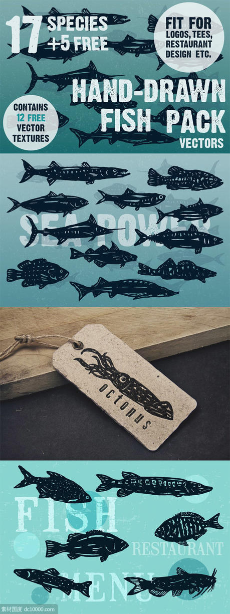 复古单色海洋河流鱼类印刷插图 Hand-drawn fish vectors - 源文件